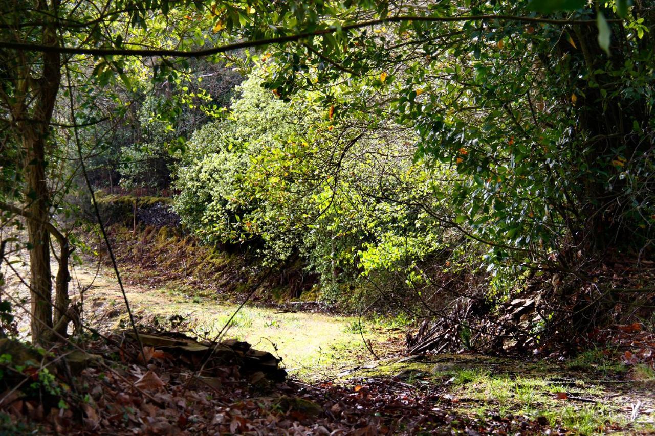 Hotel Rural Montesomao Somado Exteriér fotografie