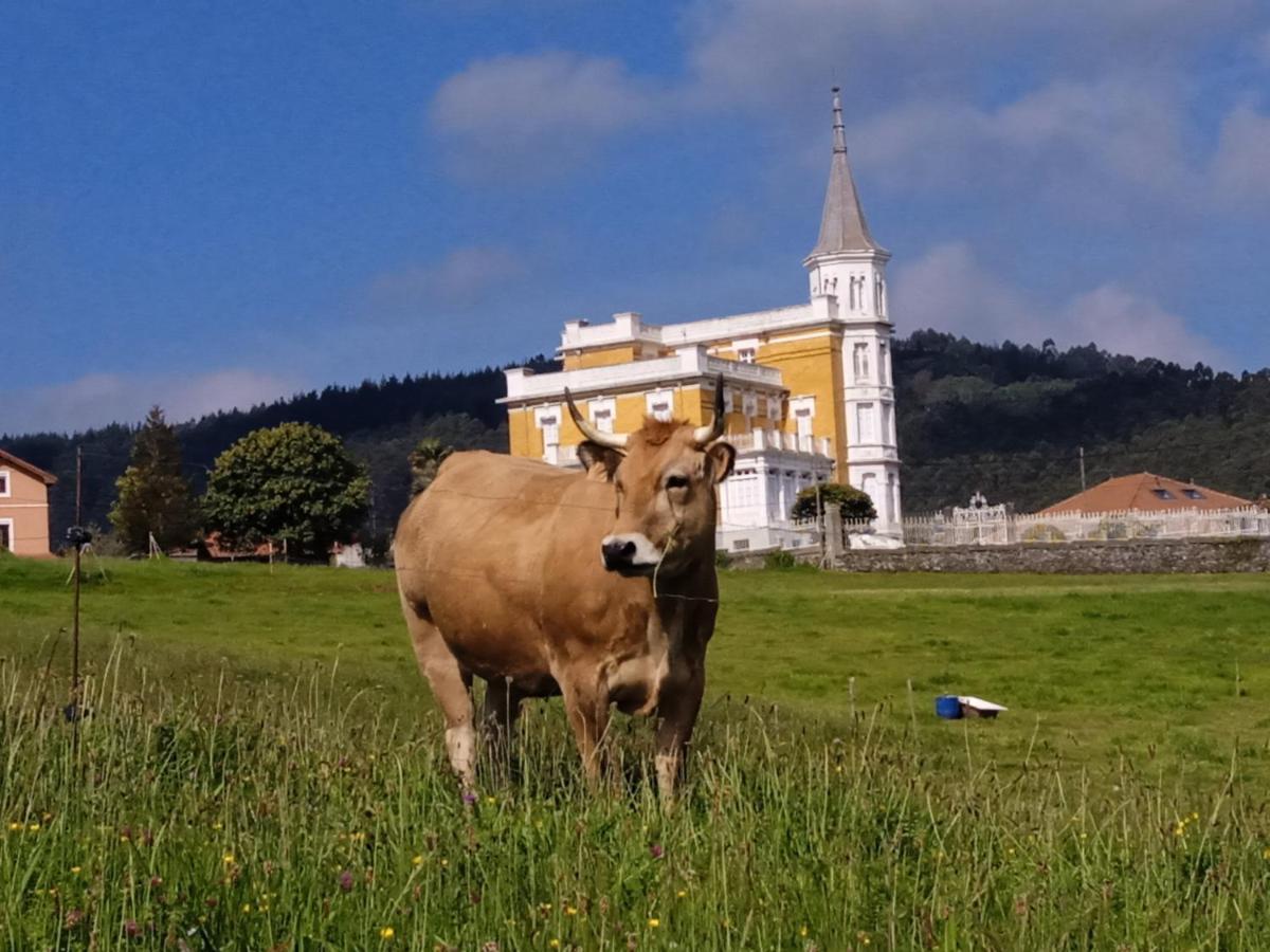 Hotel Rural Montesomao Somado Exteriér fotografie